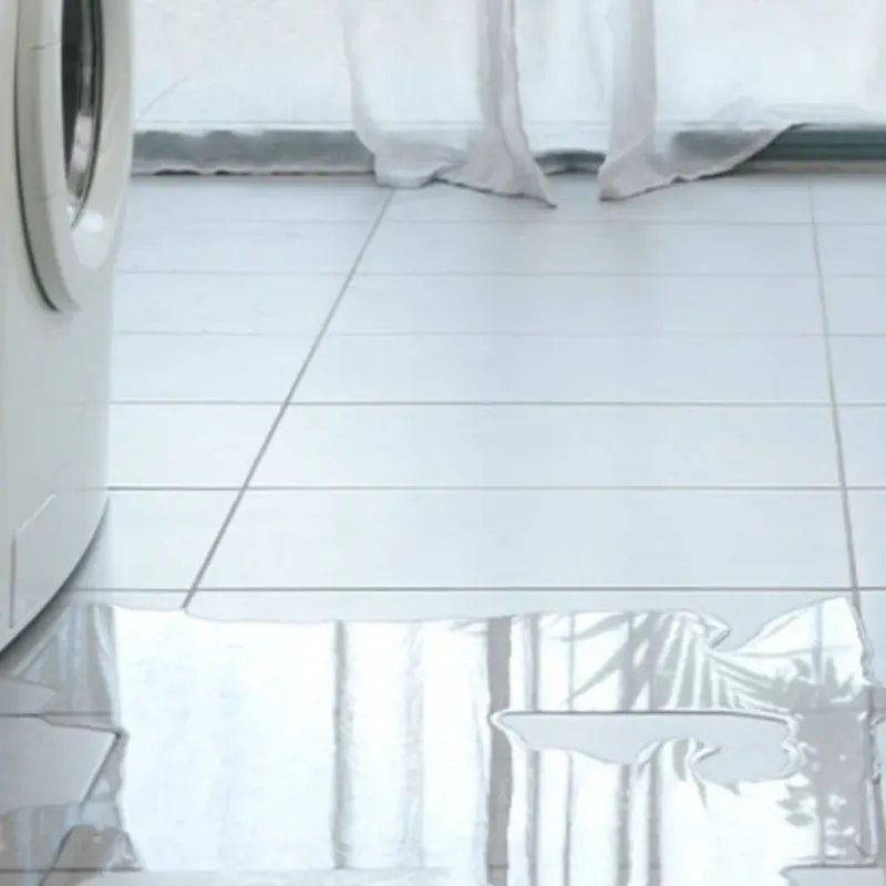 Appliance Leak Cleanup in Washington County, IL