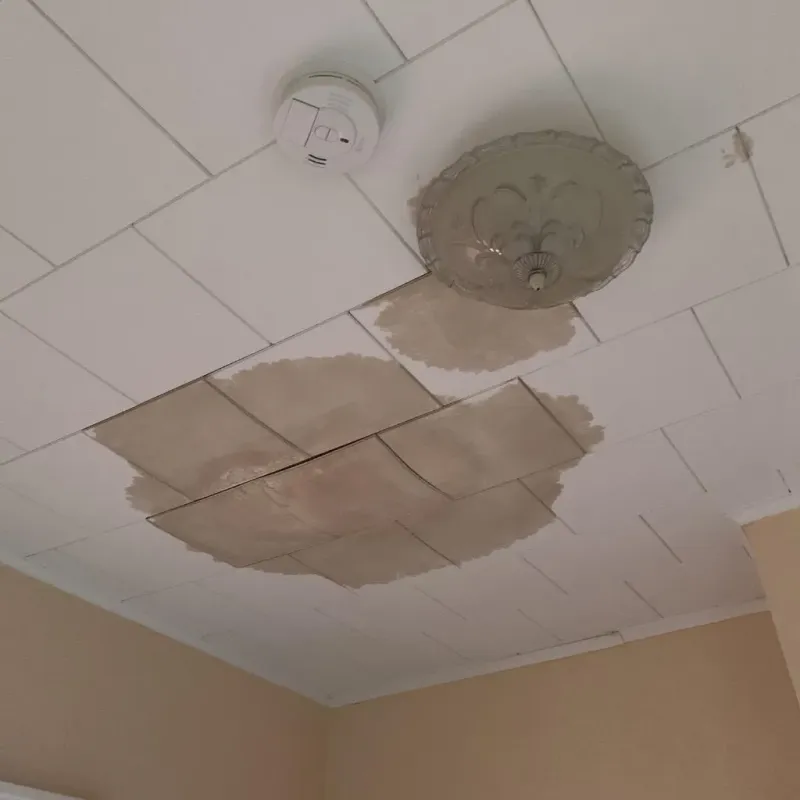 Ceiling Water Damage Repair in Washington County, IL