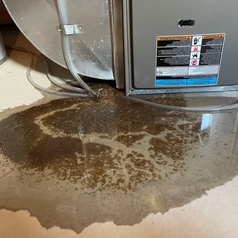 Pipe Burst and Leak Restoration in Washington County, IL