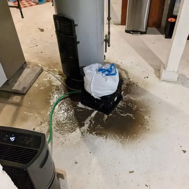 Sewage Backup Cleanup Service in Washington County, IL